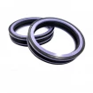 Piston seal KDSB/AE 125x100x25,4 CX [2EKDSB13]